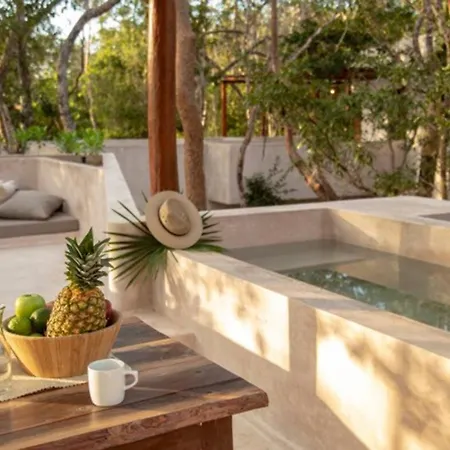 Apsara Private With Plunge Pools Apartment