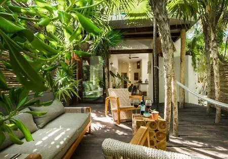 Aldea Beachfront Villa *