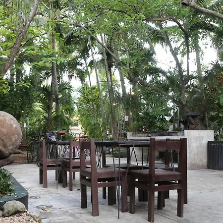Oryx * Tulum