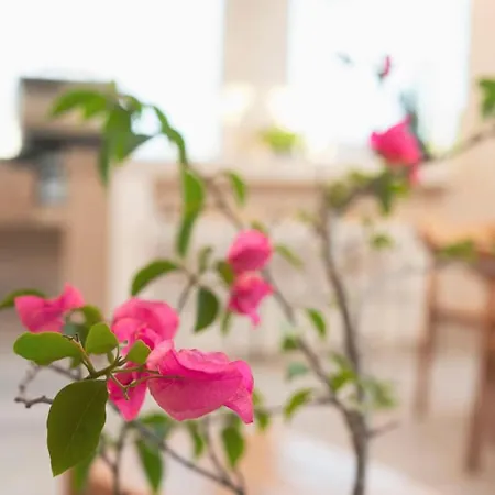 Casa Chicil Family Free Club Apartment *
