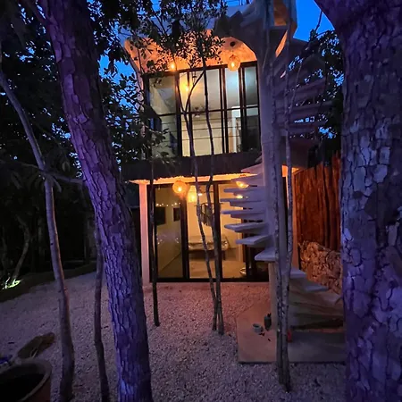 Curandero Tulum