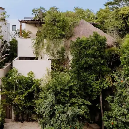 Lux Casa Kuk 2 Pools 2 Kitchens Rooftop Oasis Villa *