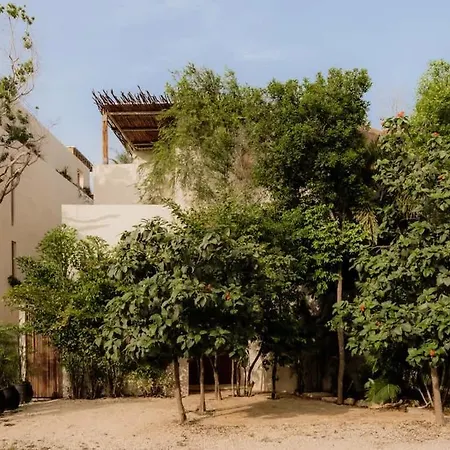 Villa Lux Casa Kuk 2 Pools 2 Kitchens Rooftop Oasis