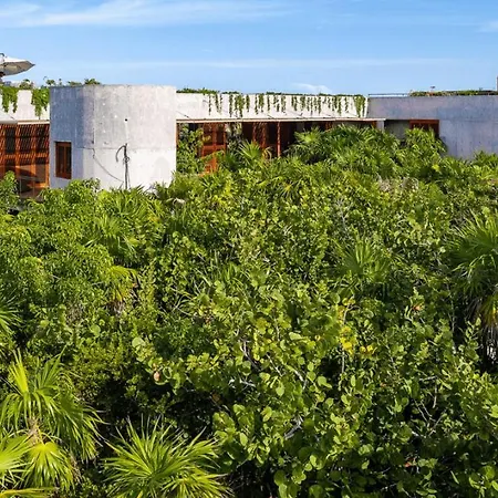 Beachfront Sian Kaan 3 *