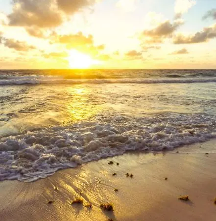 Beachfront In *