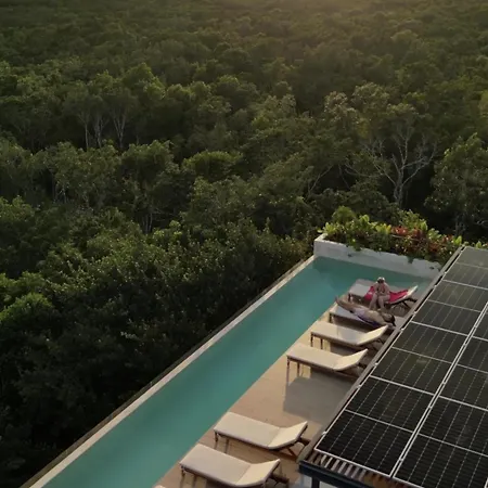 Jungle At 525 * Tulum