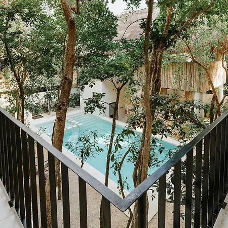 Stylish 3bd3ba In Tulum's Neighborhood Tulum