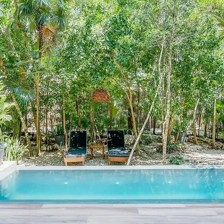 Luxurious Oasis Jacuzzi With Art Gallery And Pool *
