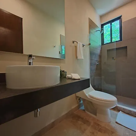 Wonderful House In The Enigmatic Jungle By Yeah *