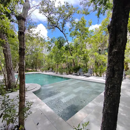 Wonderful House In The Enigmatic Jungle By Yeah * Tulum