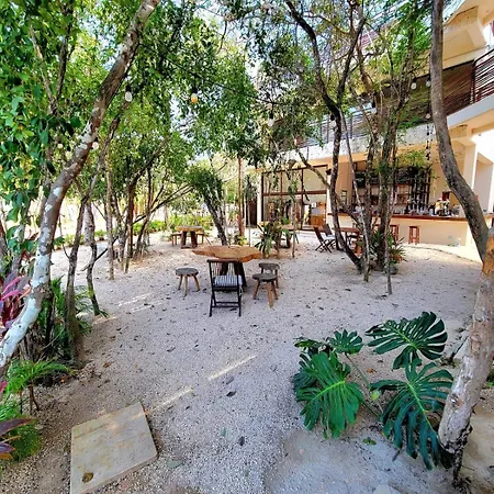 De Ensueño Con Cenote Privado Tulum