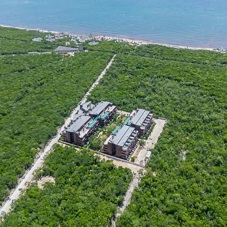 Aparment In The Zone Of Tulum