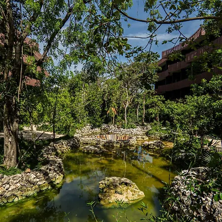 Aparment In The Zone Of Tulum