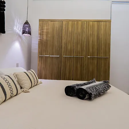 Aparment In The Zone Of *