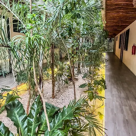 Apartment Full Private Pool, 1 Bed, 1 Sofa, 1 Inflatable Tulum