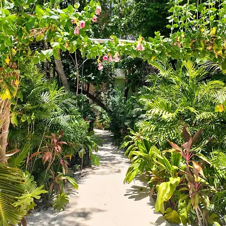 Discreet Luxury Between Jungle And Caribbean Mistiq T 2 * Tulum