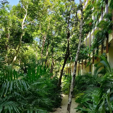 Apartment Discreet Luxury Between Jungle And Caribbean Mistiq T 2