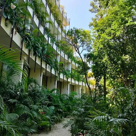 Discreet Luxury Between Jungle And Caribbean Mistiq T 2 Tulum