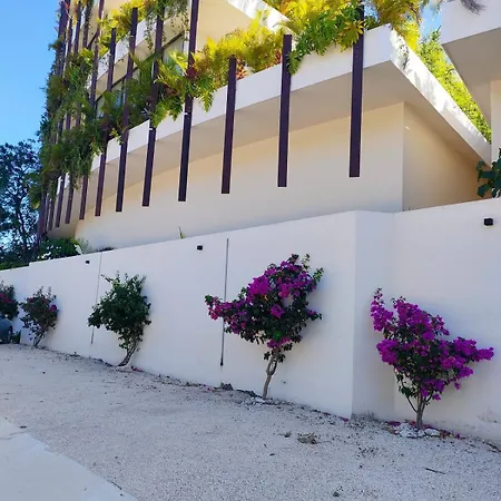Discreet Luxury Between Jungle And Caribbean Mistiq T 2 * Tulum