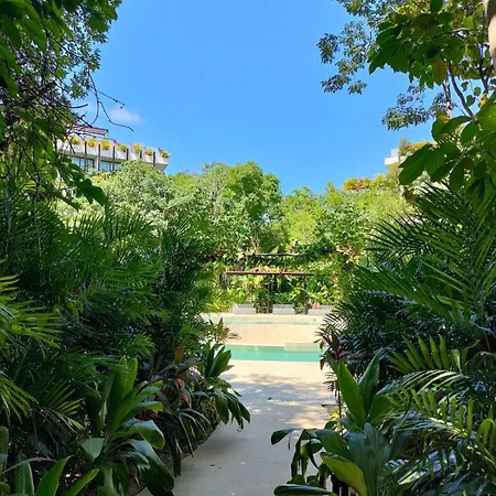 Discreet Luxury Between Jungle And Caribbean Mistiq T 2 Apartment *