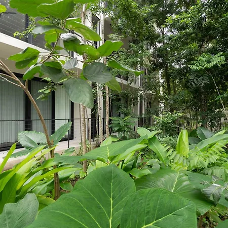 Jungle At 525