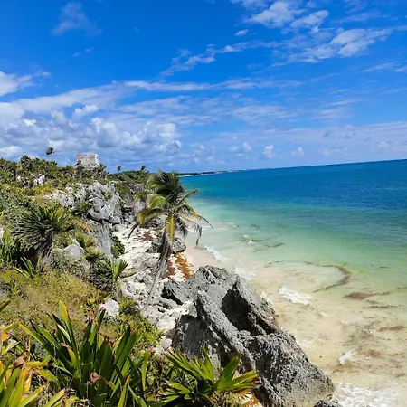 Apartamento Tropical Escape In A Cozy Paam Cheel