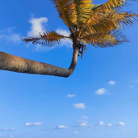 Tropical Escape In A Cozy Paam Cheel * Tulum