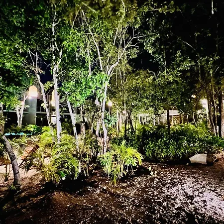 Private Pool New Jungle King Bed Wifi 204 Tulum