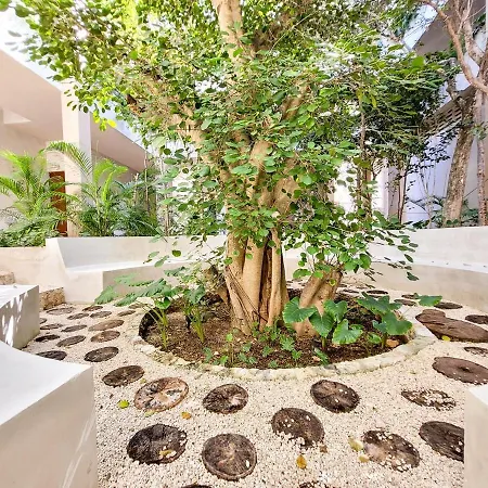 Renta Depa 1 Hab En La Veleta Apartment Tulum