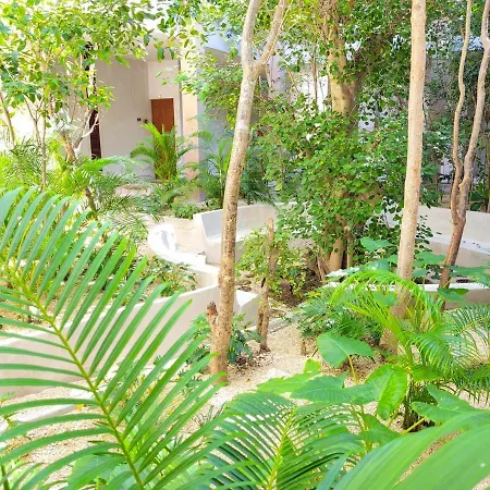 Renta Depa 1 Hab En La Veleta Apartment Tulum