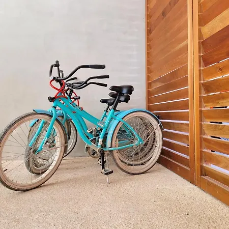 Apartment Renta Depa 1 Hab En La Veleta Tulum