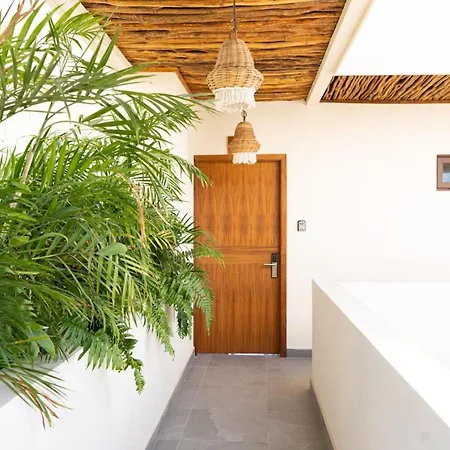 Amazing Luxury With Cenote-