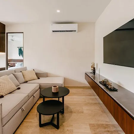 Luxury Penthouse Private Rooftop Pool Concierge Apartment