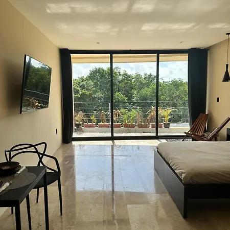 Close To The Quiet Modern Laundry Roof Pool Tulum