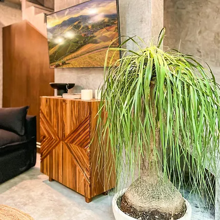 3br Gated Private Pool & Gym Area Villa Tulum