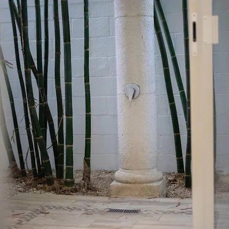 Cuatro Vientos Close To Shops Pool Up 12 Ppl Holiday home Tulum