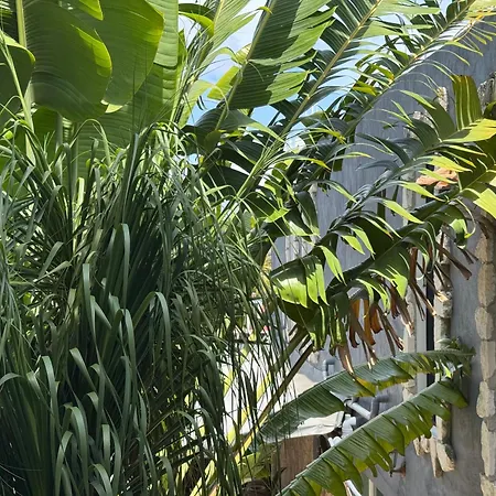 Hotel Orula Experiences
