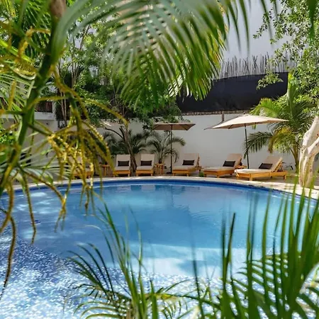 La Veleta - Jungle Gem - Pool View
