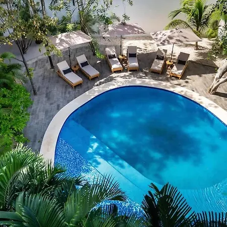 La Veleta - Jungle Gem - Pool View Inn