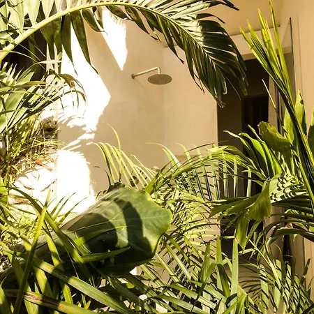 Muare Wellness And (adults Only) Tulum
