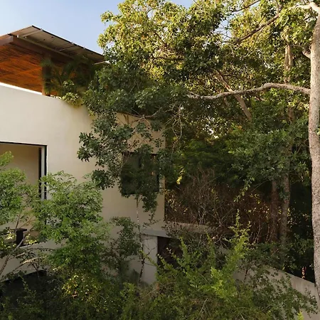 Casa Manati Modern Mansion With Pool