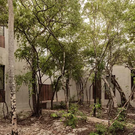Private Jungle - Pool & Concierge For 21 Tulum
