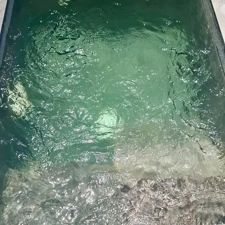 Apartment Plunge Pool Duplex Ph With Club Shuttle And Gym