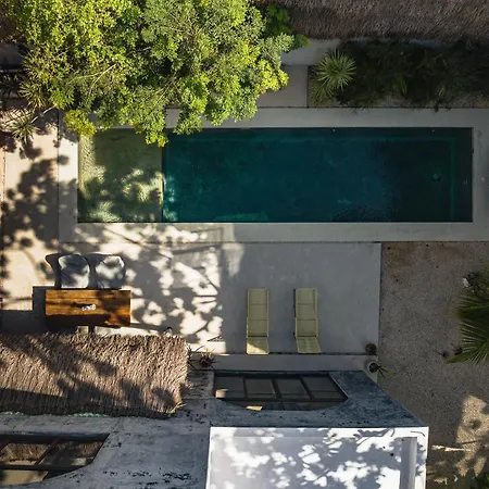 Luxury Design With 36ft Pool And Garden