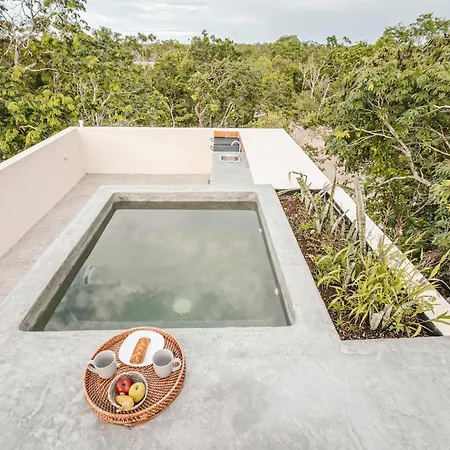 Selva Pixan With Rooftop Pool