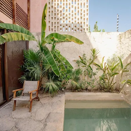 Chic 2br With Rooftop Pool & Terrace Villa Tulum