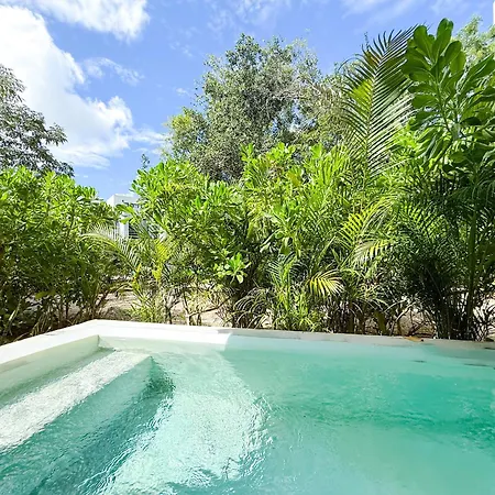 Apartment Jungle Private Pool King Bed Wifi 305 *