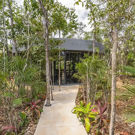 Mistiq Tulum
