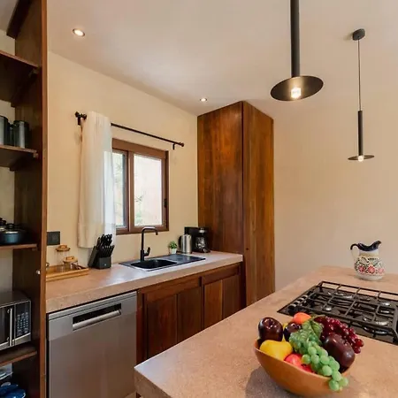 Stylish 2br Jungle Retreat With Plunge Pool & Rooftop Apartment
