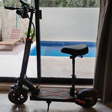 Tropical Retreat: Scooters, Hot Tub, Pool, Projector *
